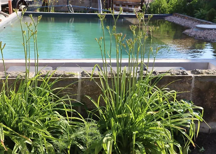 Drei-seiten-hof Etable Mit Schwimmteich Und Klimanlage Appartement